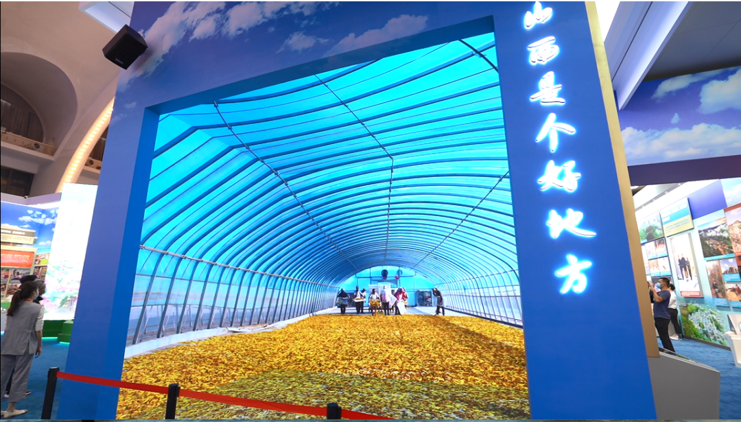 威尼斯9499登录入口(中国)有限公司官网