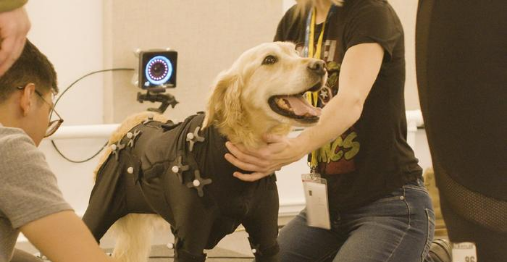 威尼斯9499登录入口(中国)有限公司官网