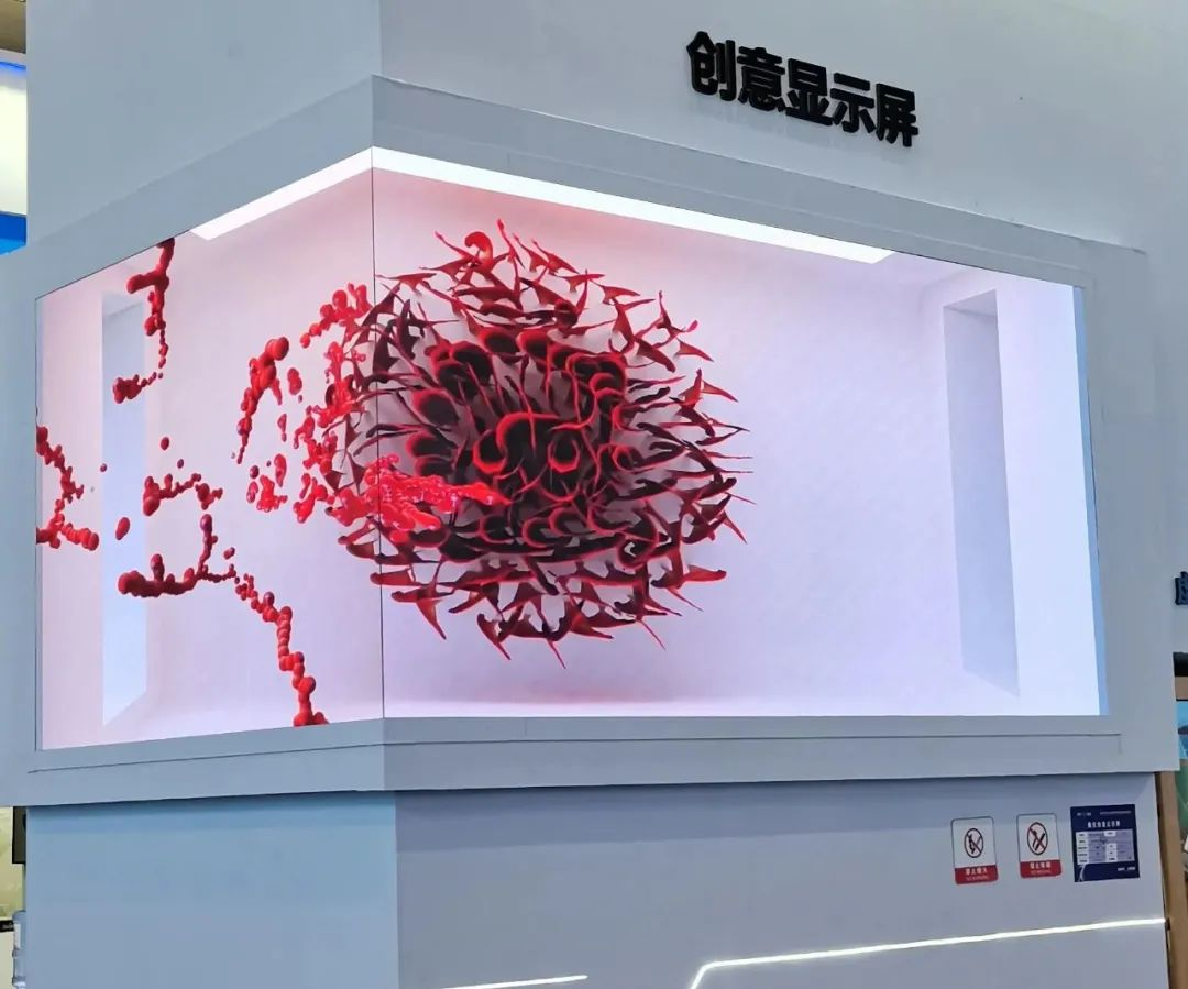 惊艳亮相南博会 | 威尼斯9499打造视觉盛宴