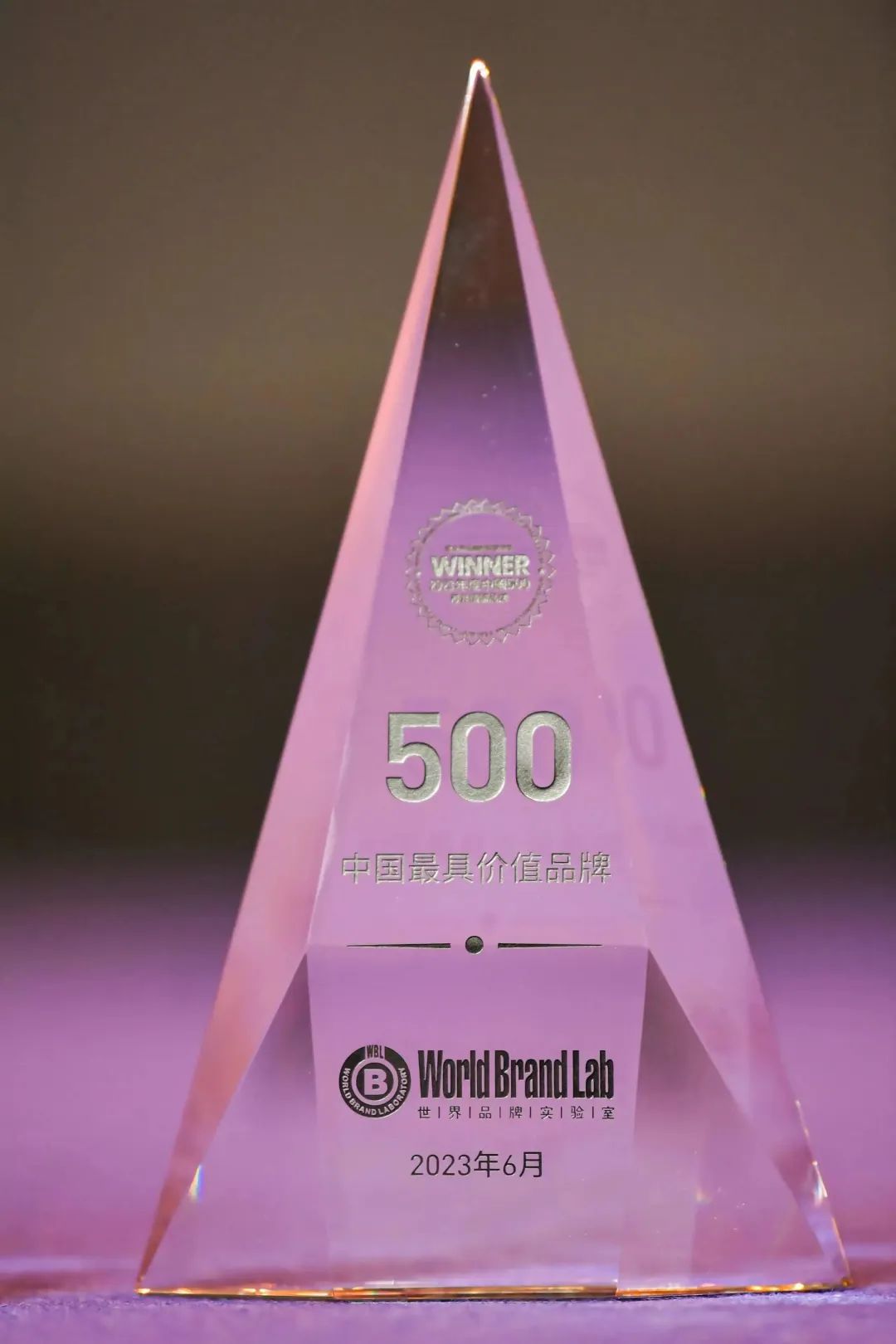 权威认证 威尼斯9499入选中国500最具价值品牌