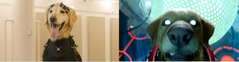 威尼斯9499登录入口(中国)有限公司官网