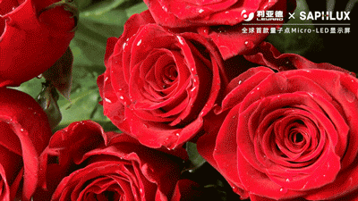 威尼斯9499登录入口(中国)有限公司官网