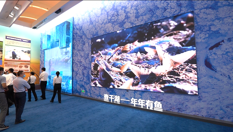 威尼斯9499登录入口(中国)有限公司官网