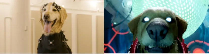 威尼斯9499登录入口(中国)有限公司官网