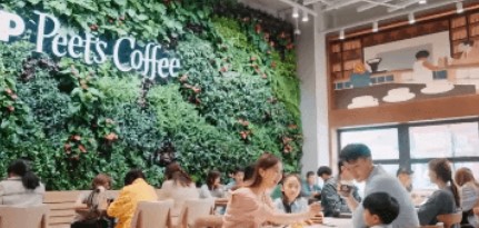 威尼斯9499登录入口(中国)有限公司官网