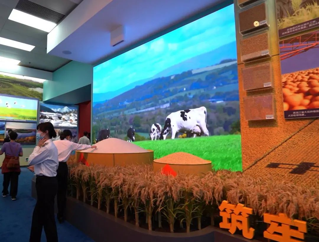 威尼斯9499登录入口(中国)有限公司官网