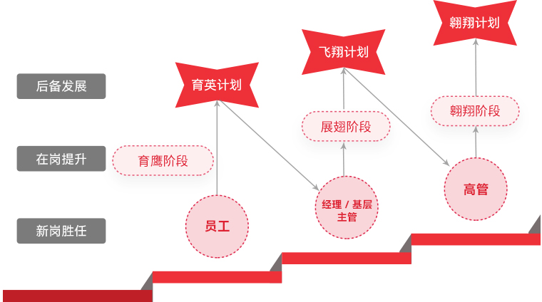 威尼斯9499 "雄鹰妄想"人才梯队作育